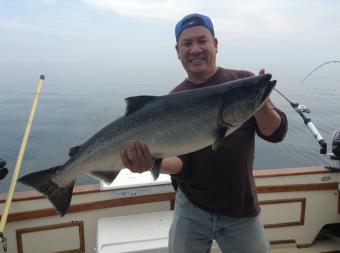 Big King (Chinook) salmon in niagara